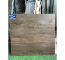 GẠCH HOÀNG GIA VÂN GỖ 60X60 DREAMWOOD 603