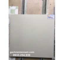 GẠCH Ý MỸ 60X60 P66001 LÁT NỀN