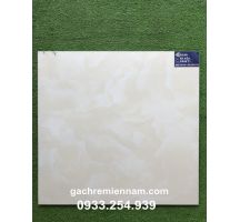 GẠCH TASA 60X60 LÁT NỀN STN6505