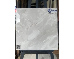 Vigalcera Mỹ Đức gạch 60x60 Viglacera United miền nam 