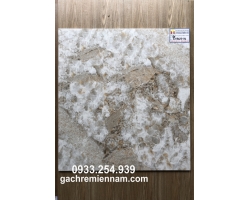 GẠCH LÁT NỀN PRIME 60X60 9020
