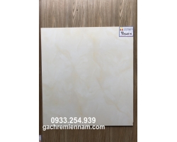 GẠCH LÁT NỀN 60X60 PRIME 9046