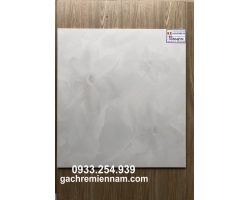 GẠCH LÁT NỀN 60X60 PRIME 9048
