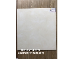 GẠCH LÁT NỀN 60X60 PRIME 9075