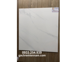 GẠCH LÁT NỀN 60X60 PRIME 9112
