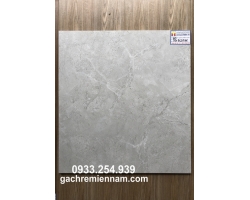GẠCH LÁT NỀN 60X60 PRIME 9120