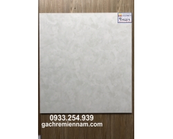 GẠCH LÁT NỀN 60X60 PRIME 9122