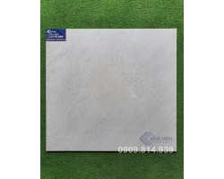 Gạch mờ nhám 60x60 Viglacera 662008