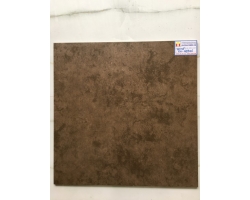 GẠCH ROYAL 60 X 60 VG66846