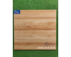 GẠCH LÁT NỀN BÓNG KIẾNG 60X60 KHT7024