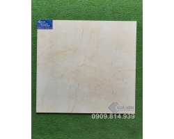 ĐÁ BÓNG KIẾNG 60X60 KHT7202