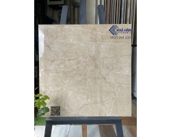 Gạch 60x60 Viglacera miền nam kho gạch Viglacera cao cấp giá rẻ TPHCM