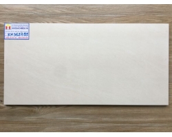 GẠCH ỐP TƯỜNG 30X60 VIGLACERA BS3627