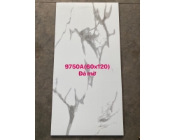 Gạch mờ 60x120 cao cấp, gạch mờ 60x120 trắng vân mây giá rẻ