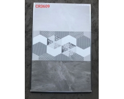 GẠCH ỐP TƯỜNG 30X60 CR3609 