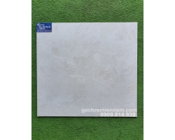 ĐÁ MỜ VIGLACERA 60X60 6912 