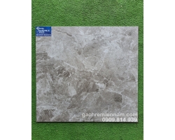 GẠCH VIGLACERA MỜ LÁT NỀN 60X60 6913