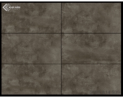 Gạch Granit 30x60 ECO-RC-3604