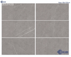 Gạch 60x120 màu nâu nhạt lát nền sang trọng