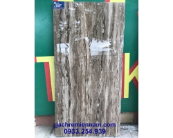GẠCH LÁT NỀN, GẠCH ỐP TƯỜNG ẤN ĐỘ 60X120 6231