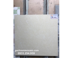 GẠCH Ý MỸ 60X60 P67002 
