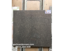GẠCH Ý MỸ 60X60 P67009