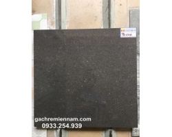 GẠCH LÁT NỀN Ý MỸ 60X60 P67010