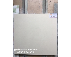 GẠCH LÁT NỀN Ý MỸ 60X60 P67015