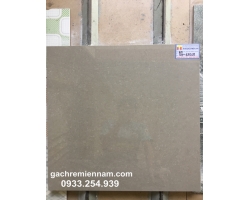 GẠCH Ý MỸ 60X60 P67019