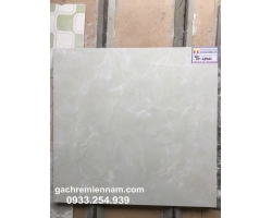 GẠCH Ý MỸ 60X60 P68011