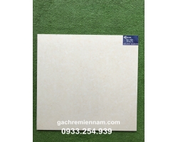 GẠCH TASA 60X60 STN6501