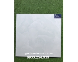 GẠCH TASA 60X60 STN6504