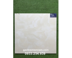 GẠCH TASA 60X60 LÁT NỀN STN6505