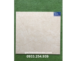 GẠCH TASA 60X60 STN6506