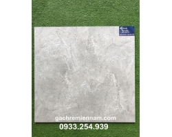 GẠCH LÁT NỀN 60X60 TASA STN6507