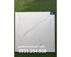 GẠCH 80X80 TASA 8501 GIÁ RẺ