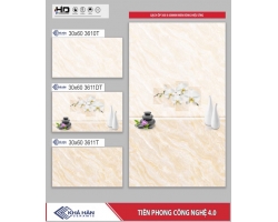 GẠCH ỐP TƯỜNG 30X60 3611T