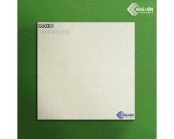Gạch muối tiêu đồng chất 60x60 KHPG60301